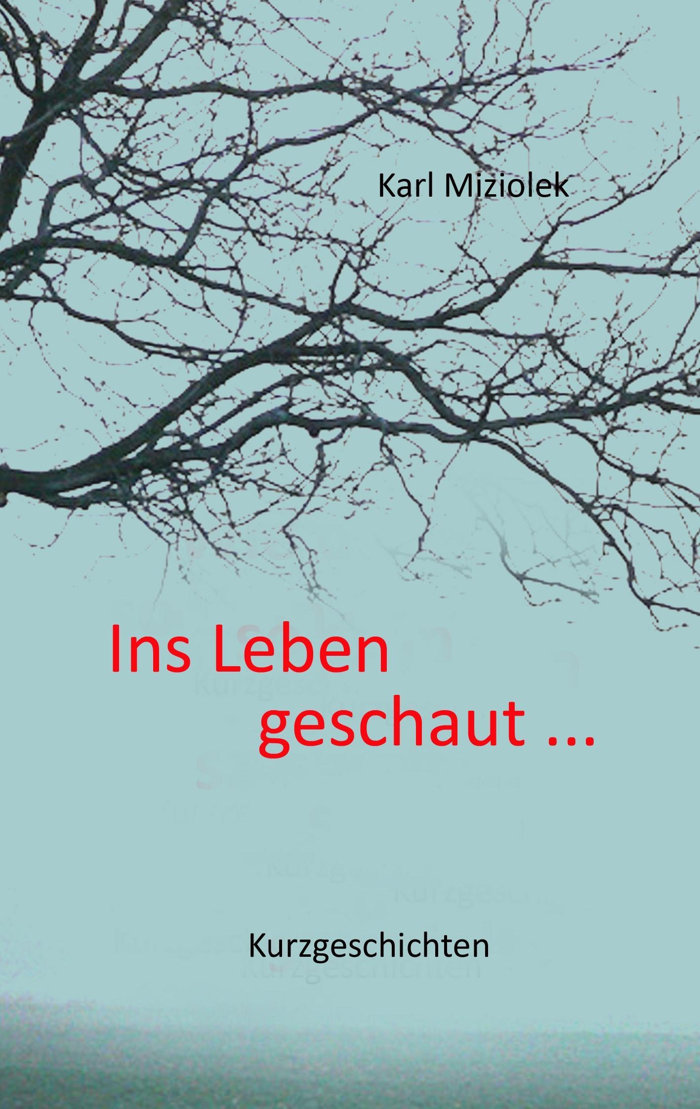Vorderes Coverbild Ins Leben geschaut ...