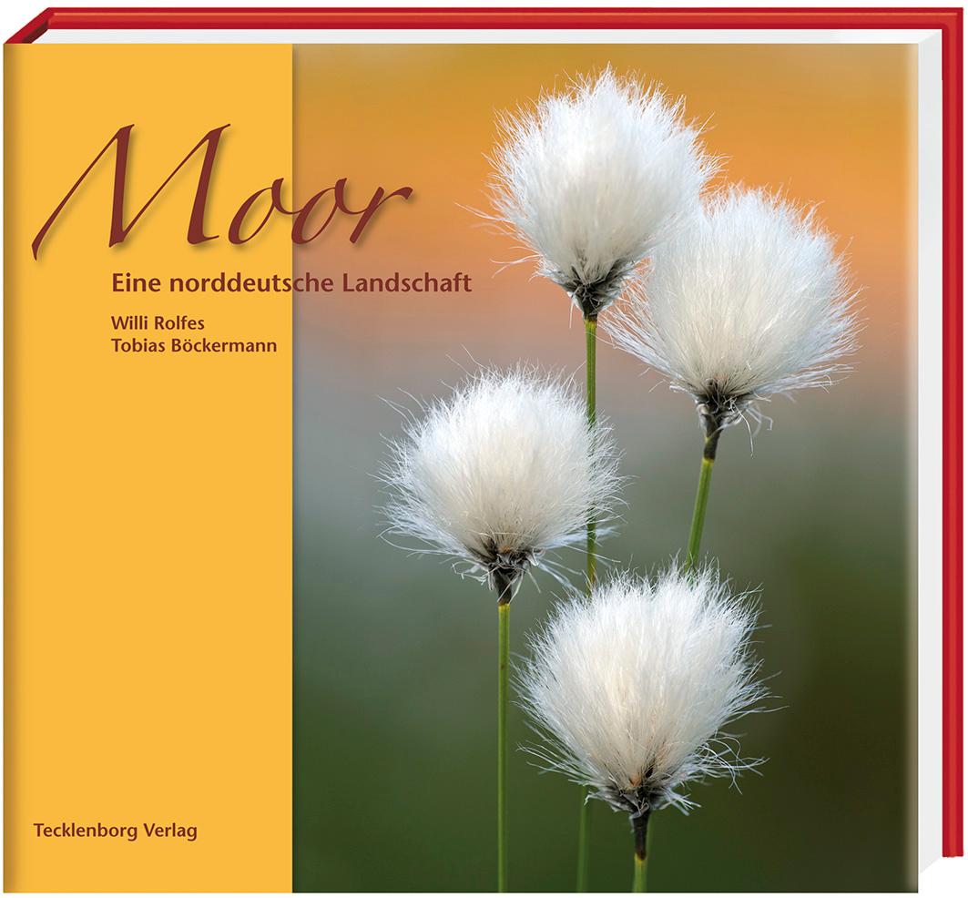 Vorderes Coverbild Moor