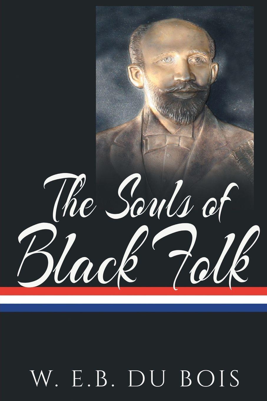 Vorderes Coverbild The Souls of Black Folk