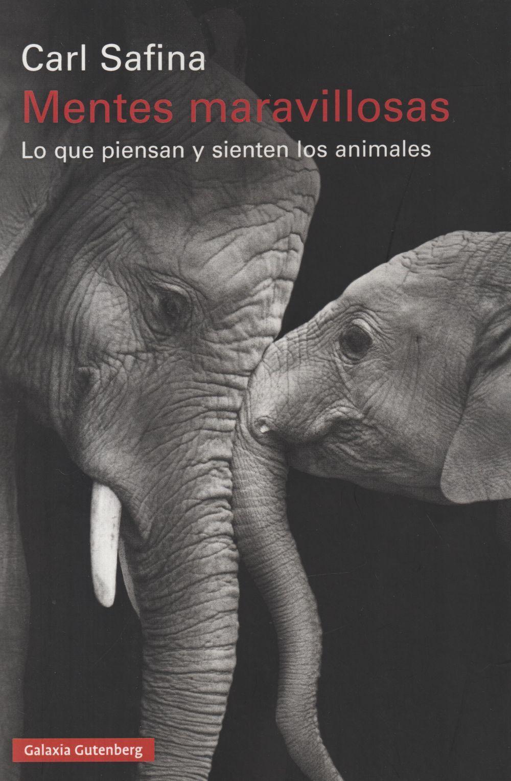 Vorderes Coverbild Mentes maravillosas : lo que piensan y sienten los animales