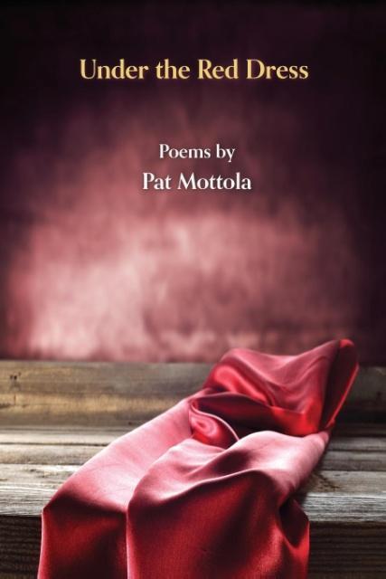 Vorderes Coverbild Under the Red Dress