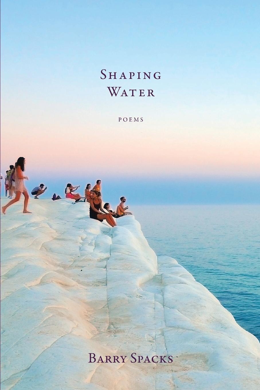 Vorderes Coverbild Shaping Water