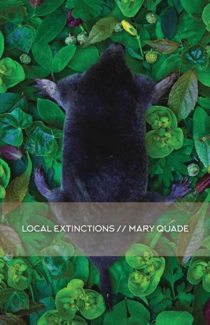 Vorderes Coverbild Local Extinctions