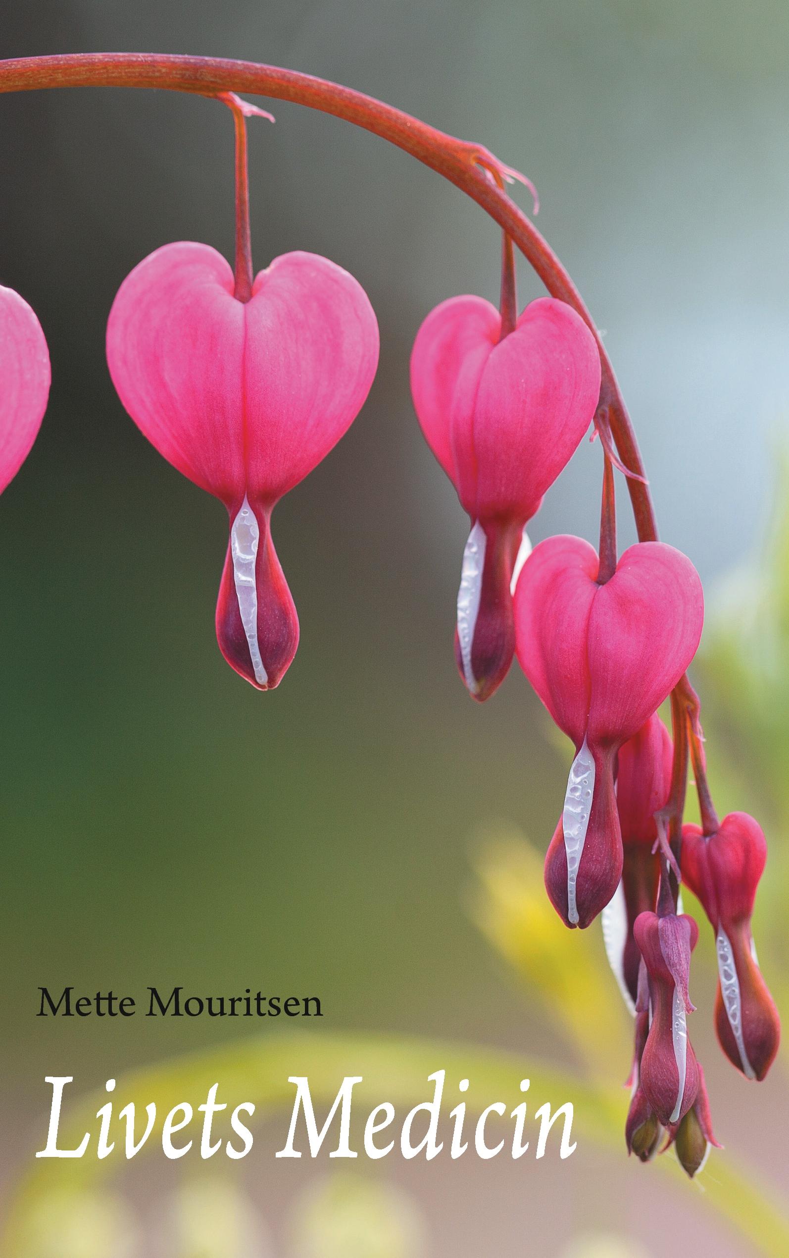 Vorderes Coverbild Colossians-Philemon