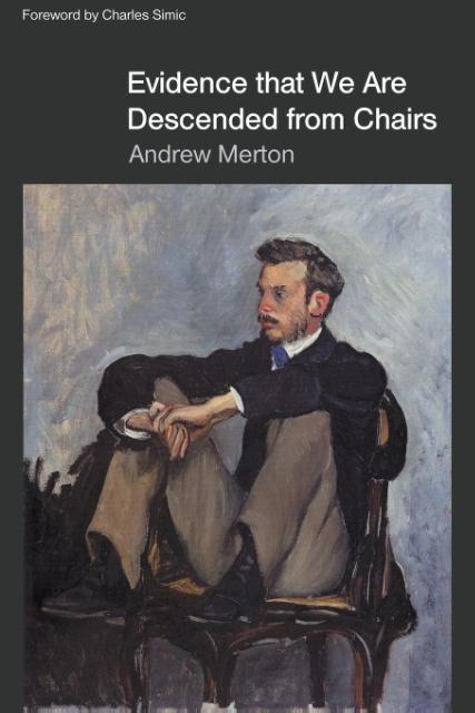 Vorderes Coverbild Evidende that We Are Descended from Chairs