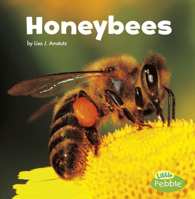 Vorderes Coverbild Honeybees