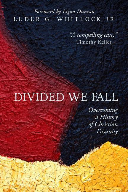 Vorderes Coverbild Divided We Fall