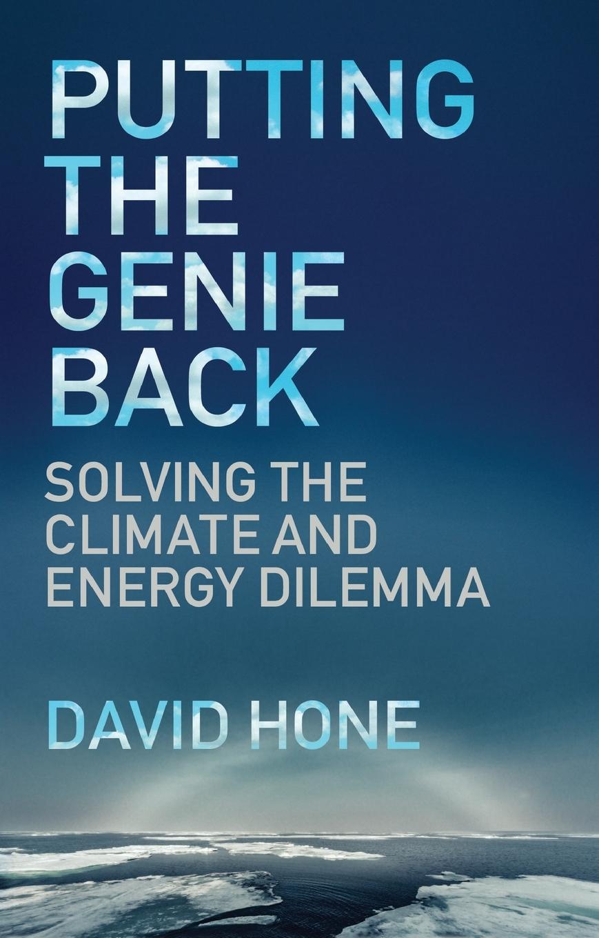 Vorderes Coverbild Putting the Genie Back