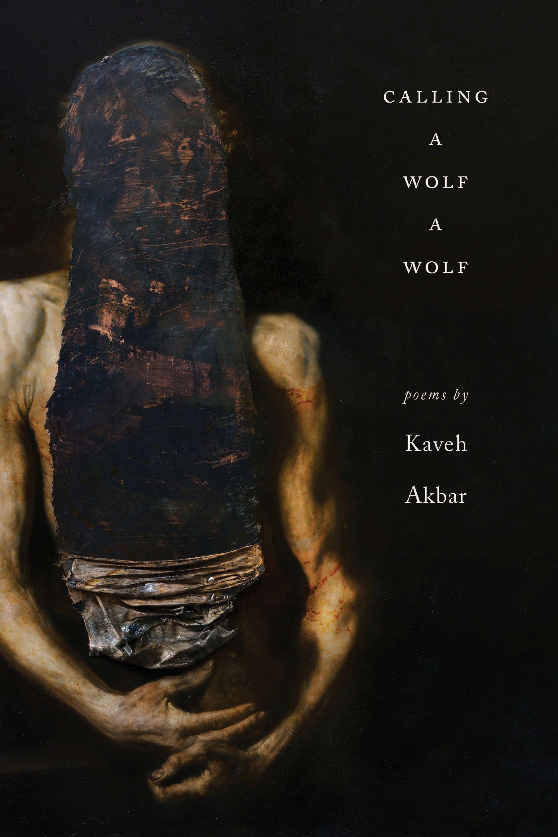 Vorderes Coverbild Calling a Wolf a Wolf