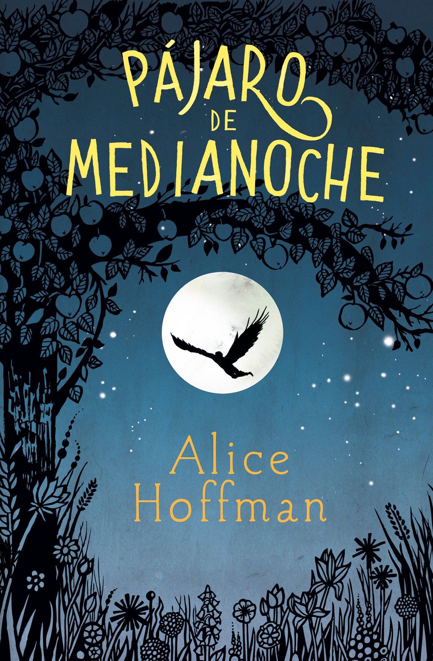 Vorderes Coverbild Pájaro de medianoche