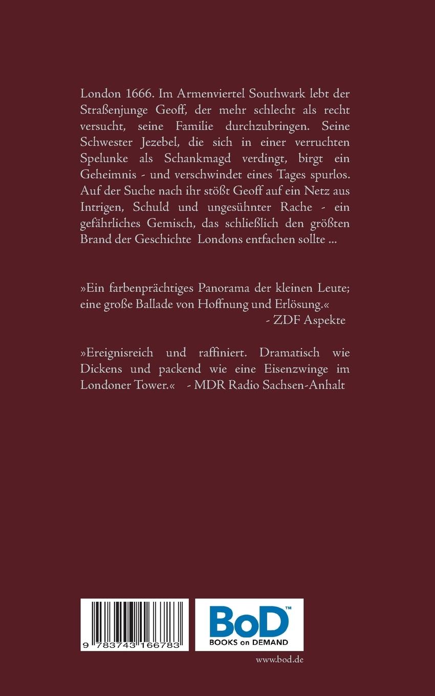 Rückseitencover Unter der Asche