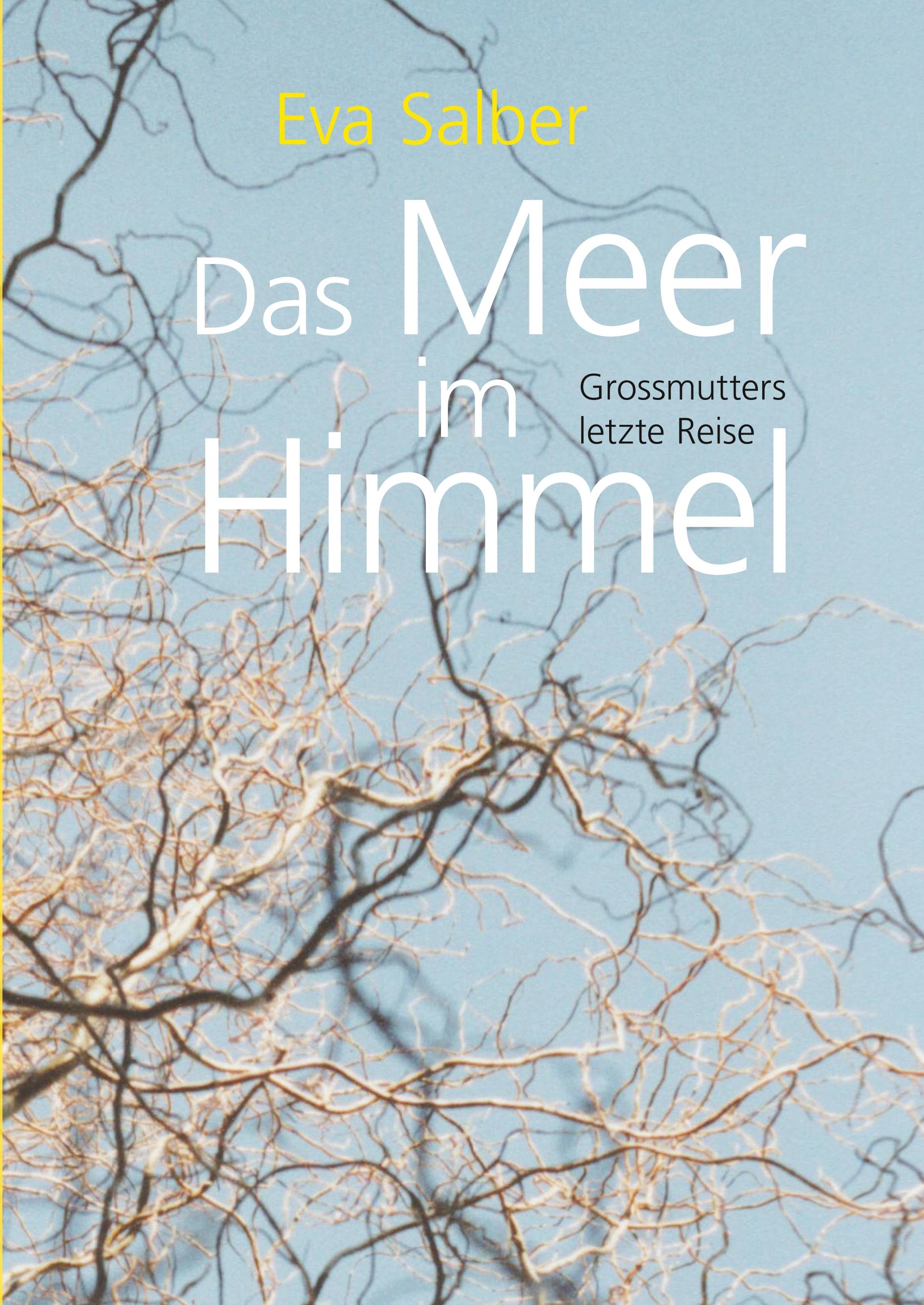 Vorderes Coverbild Das Meer im Himmel