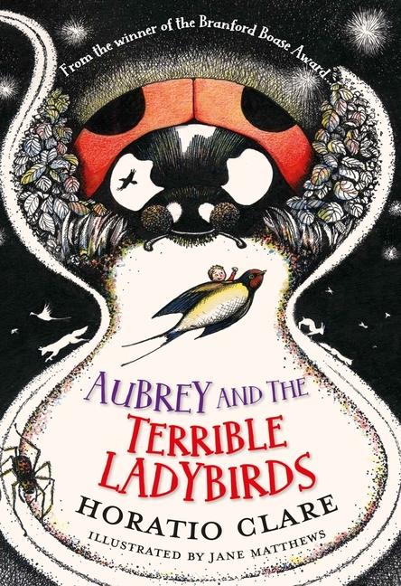 Vorderes Coverbild Aubrey and the Terrible Ladybirds