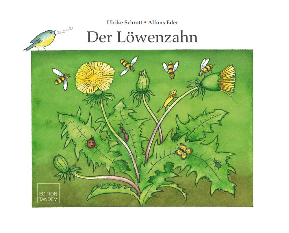 Vorderes Coverbild Der Löwenzahn
