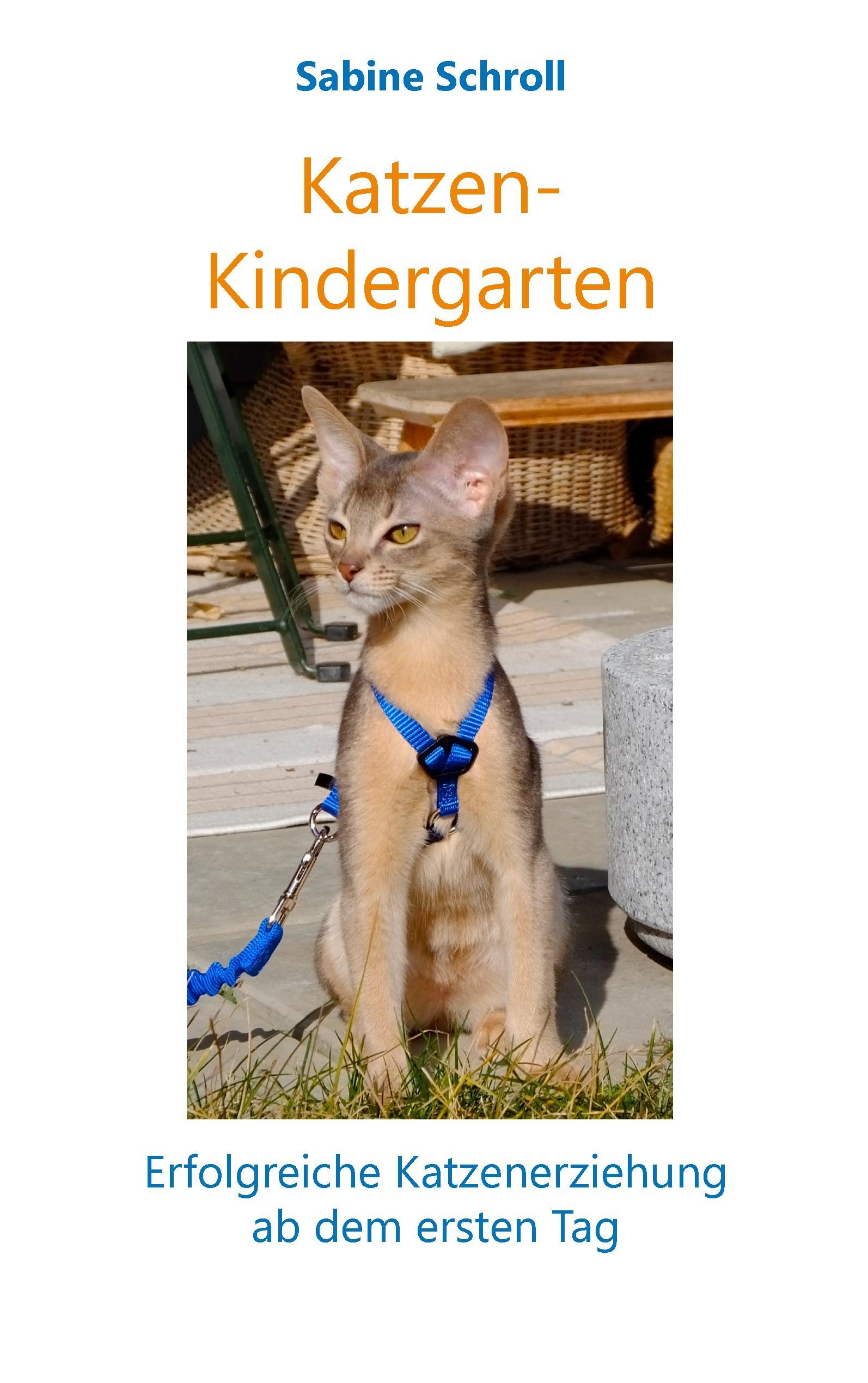 Vorderes Coverbild Katzen-Kindergarten