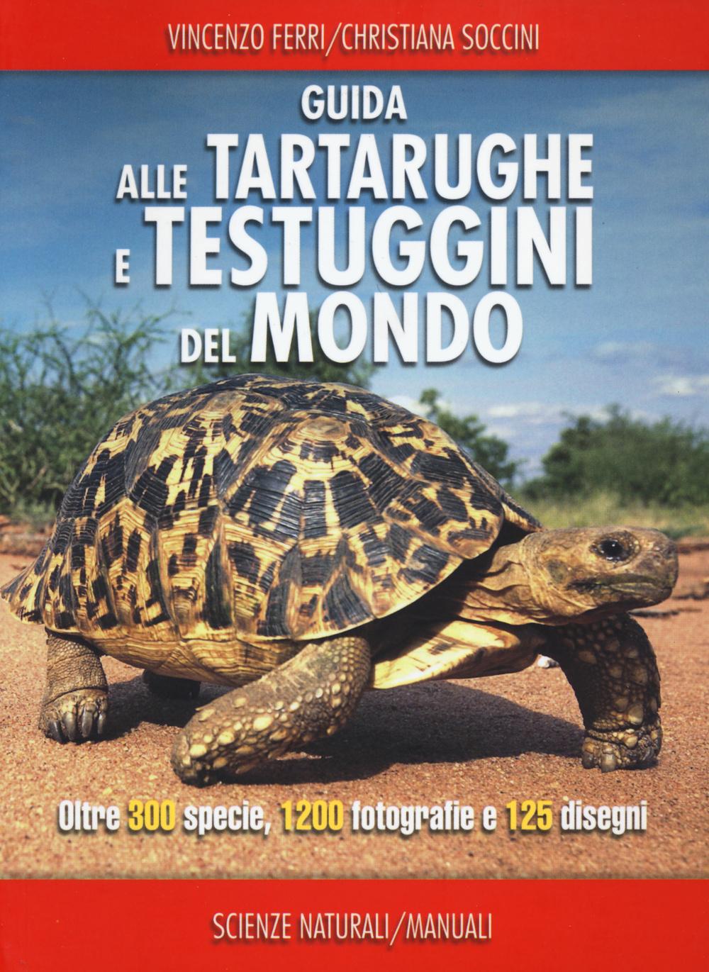 Vorderes Coverbild Guida alle tartarughe e delle testuggini del mondo