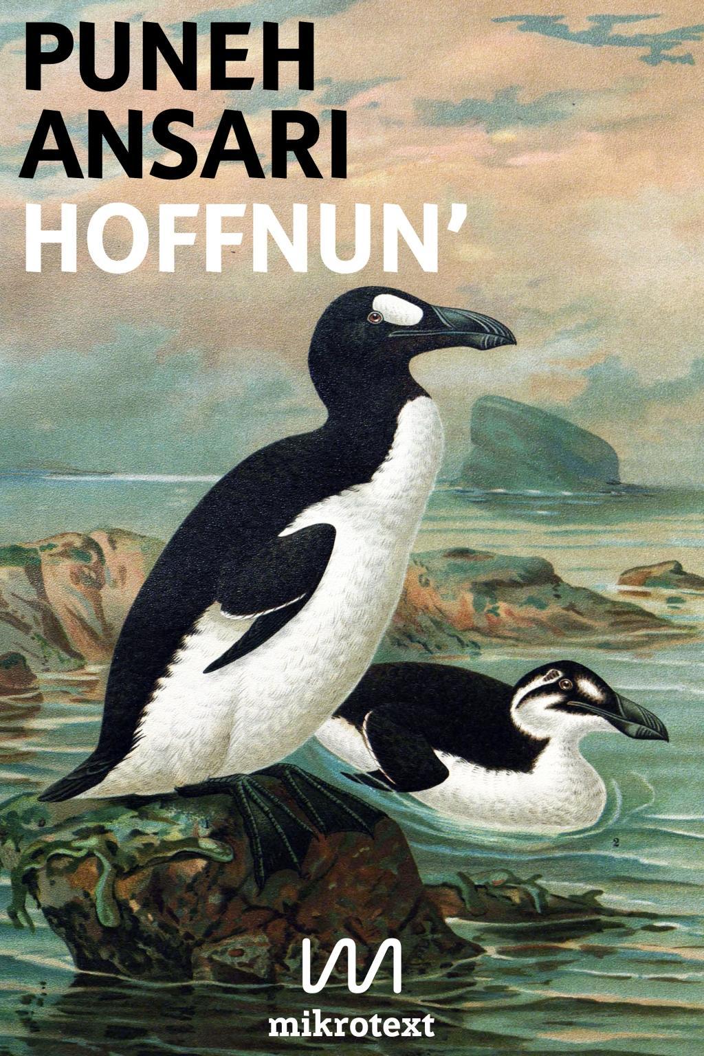 Vorderes Coverbild Hoffnun'