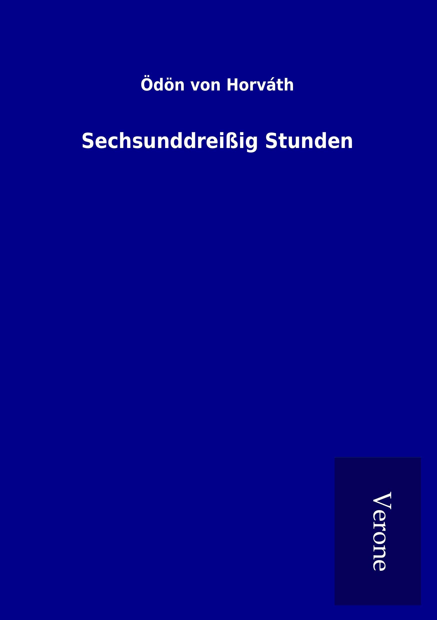 Vorderes Coverbild Sechsunddreißig Stunden