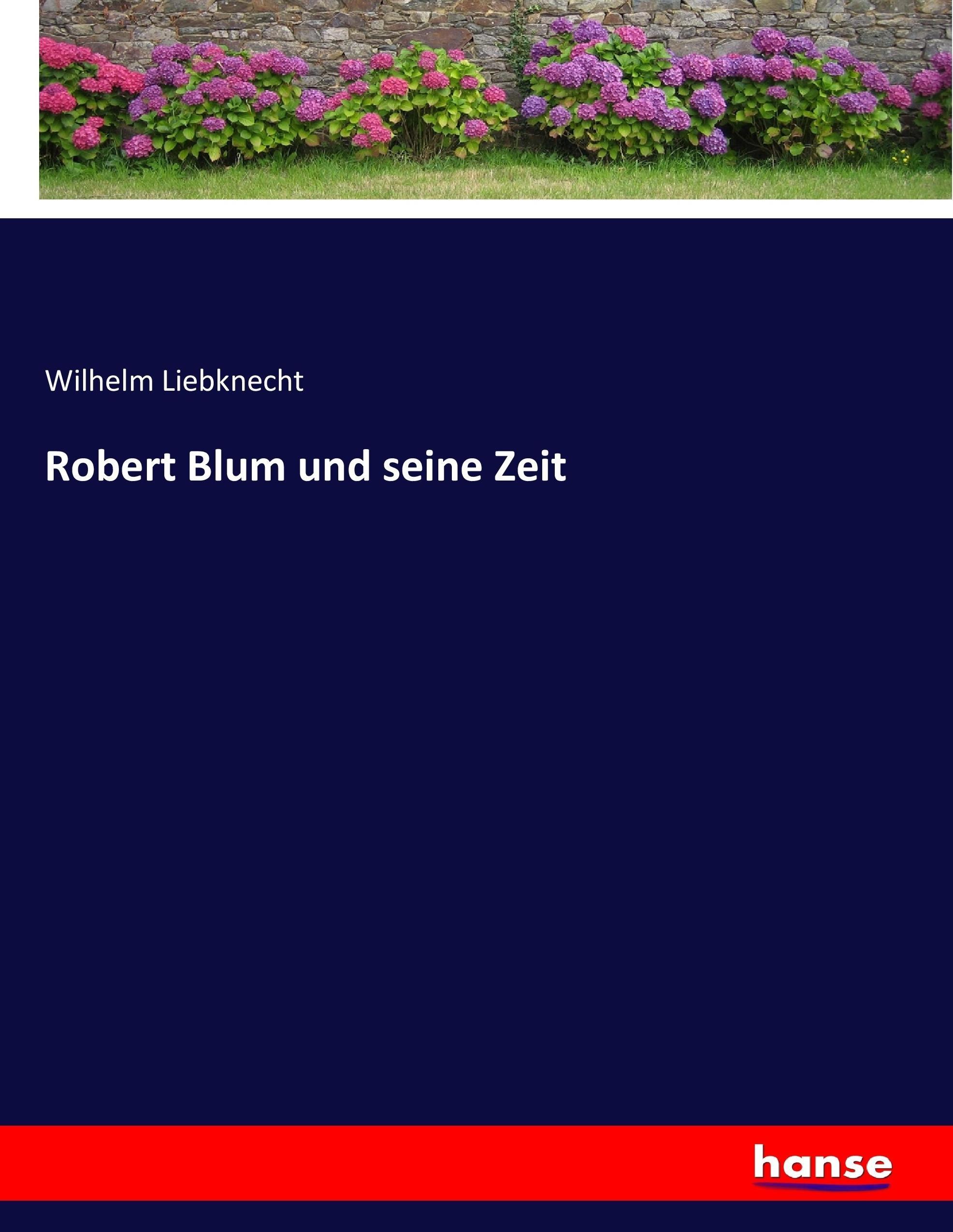 Vorderes Coverbild Robert Blum und seine Zeit