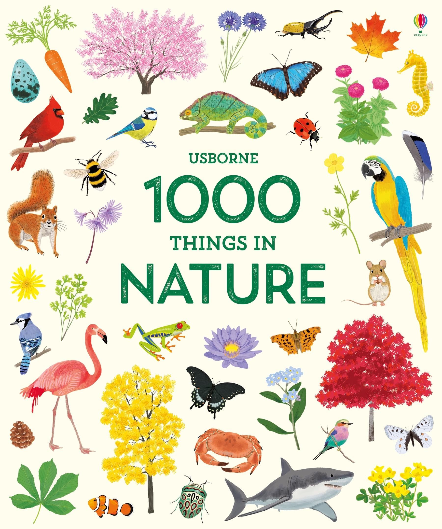 Vorderes Coverbild 1000 Things in Nature