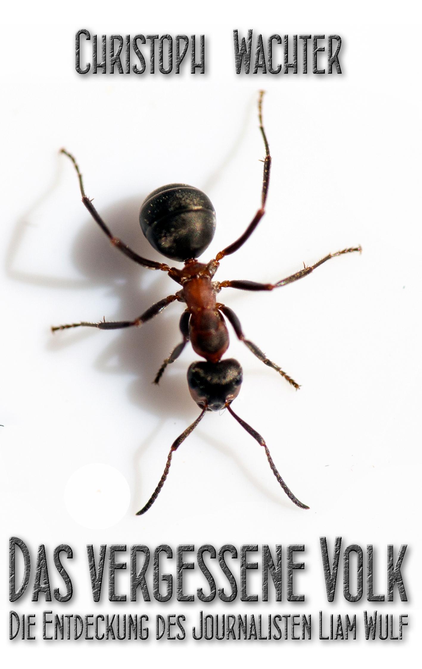 Vorderes Coverbild Das vergessene Volk