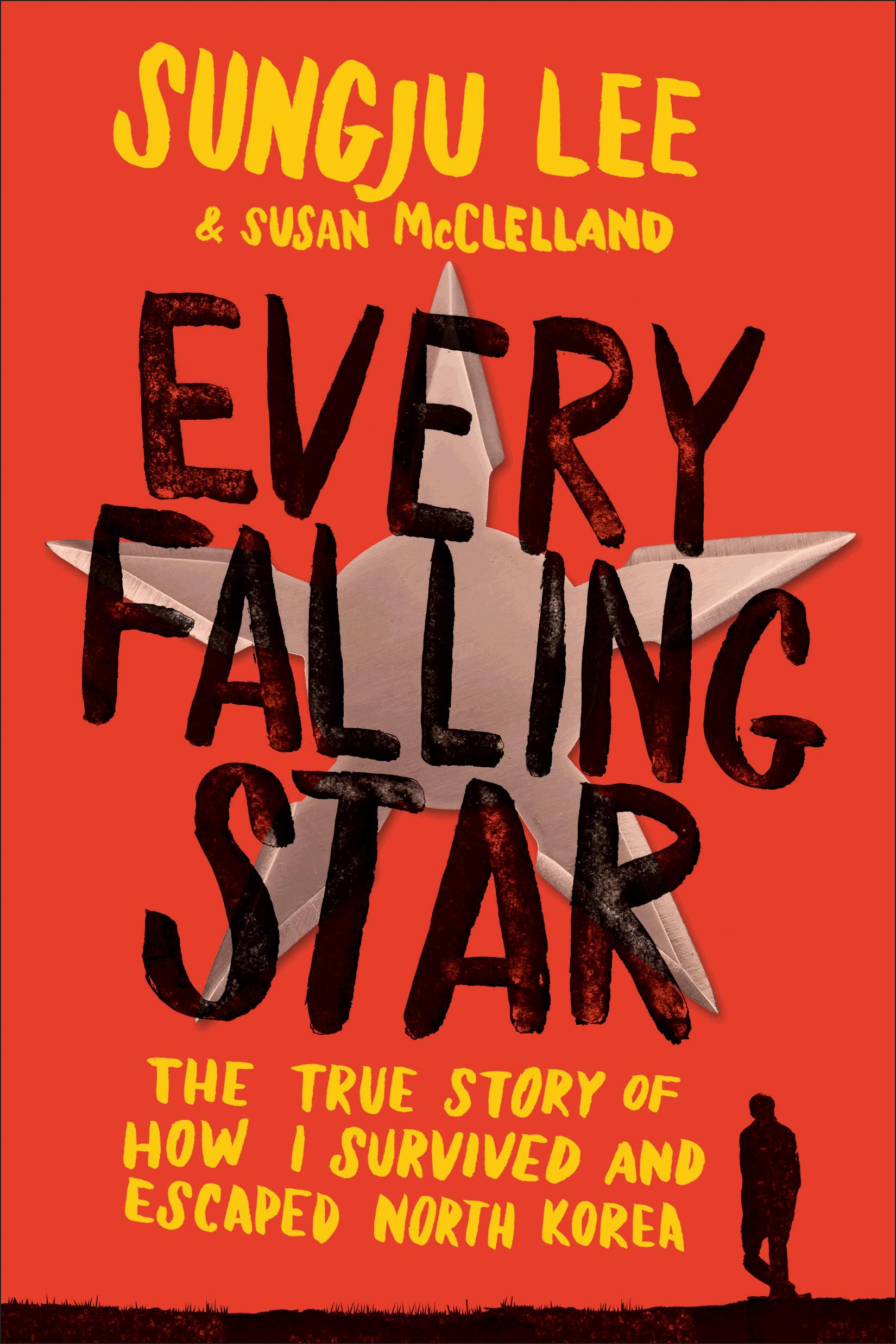 Vorderes Coverbild Every Falling Star