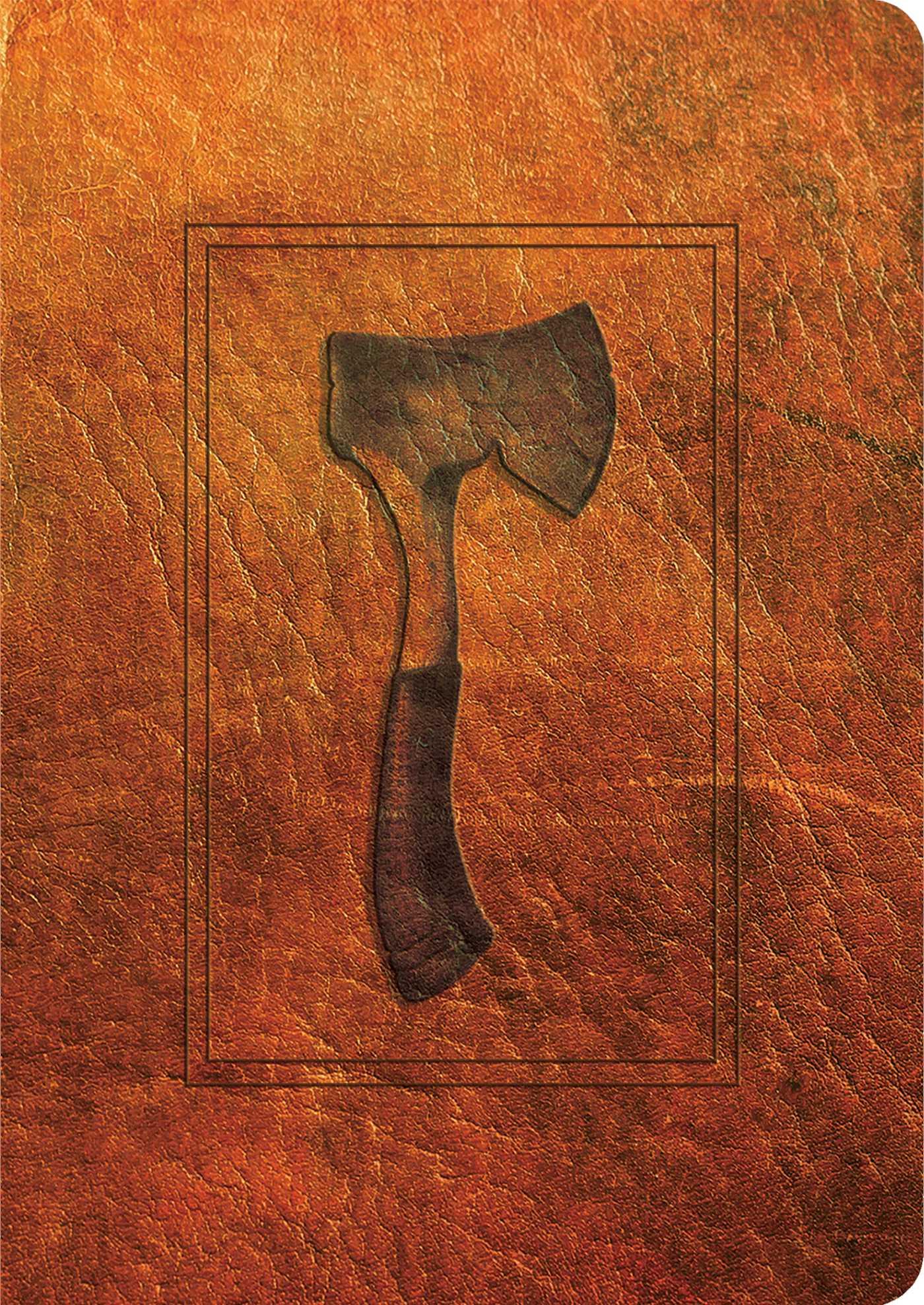 Vorderes Coverbild Hatchet