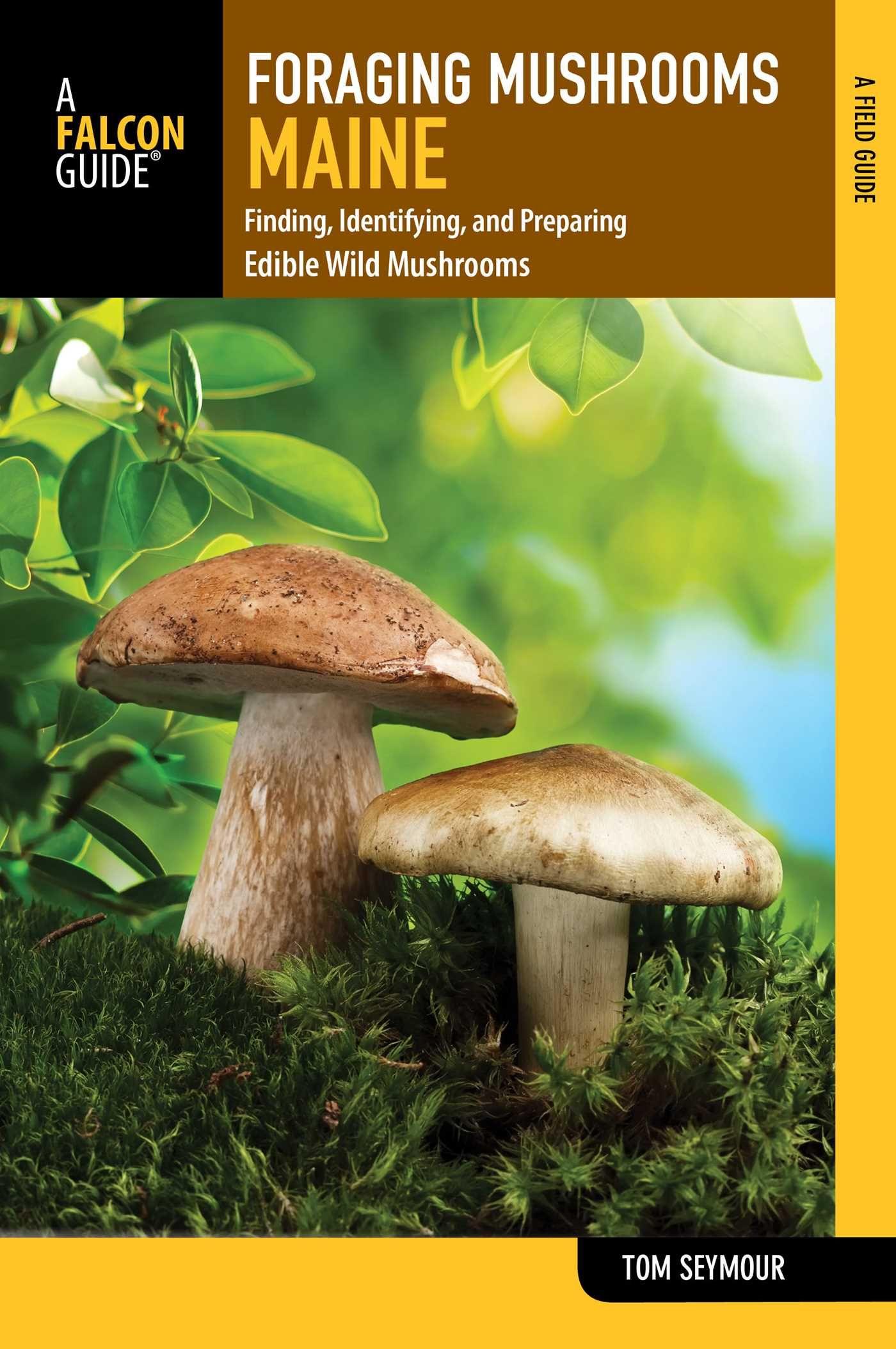 Vorderes Coverbild Foraging Mushrooms Maine
