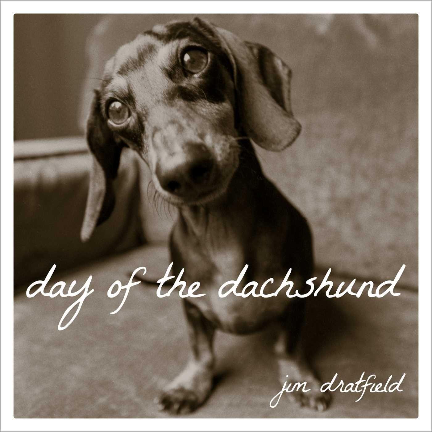 Vorderes Coverbild Day of the Dachshund