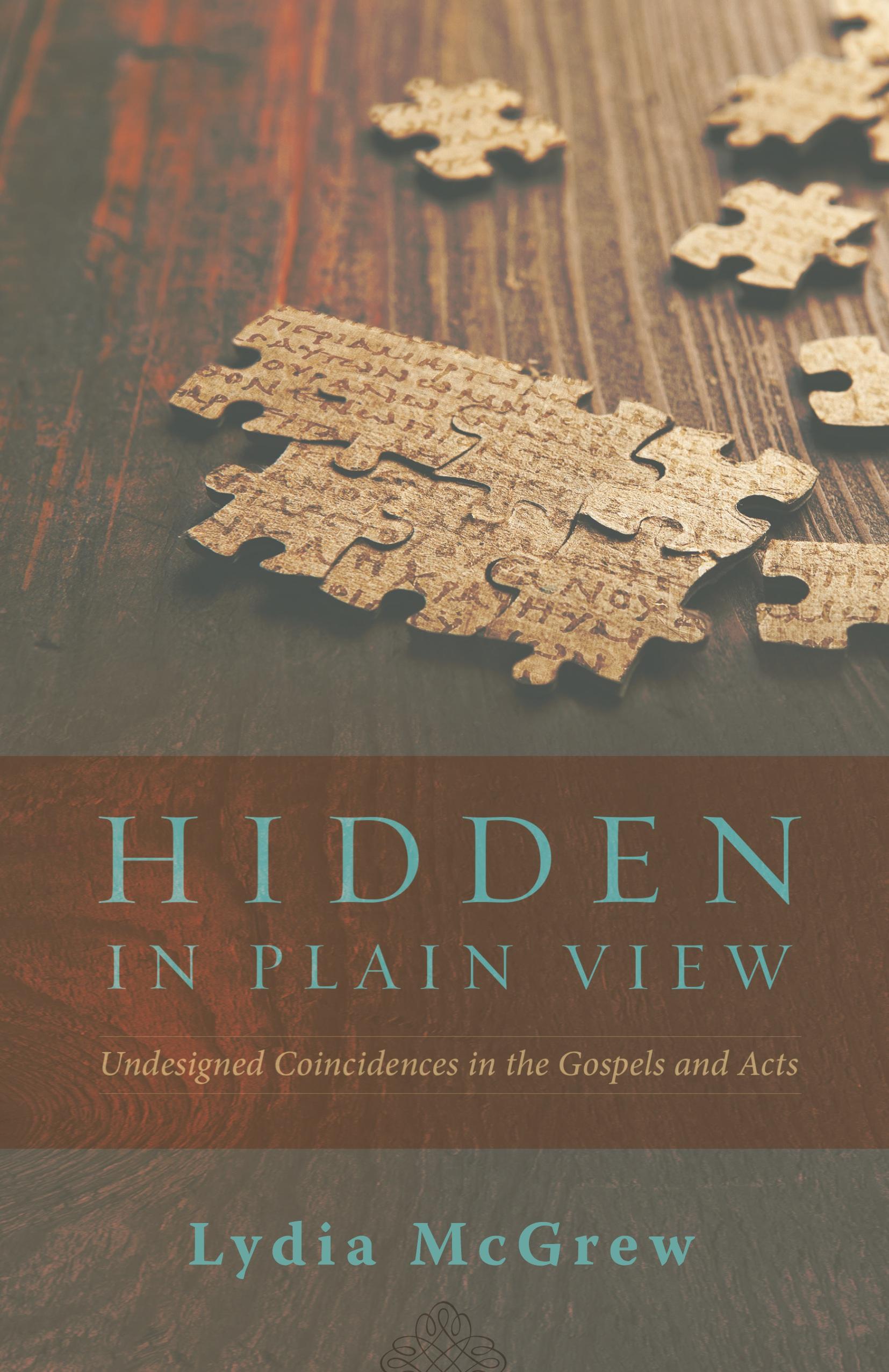 Vorderes Coverbild Hidden in Plain View