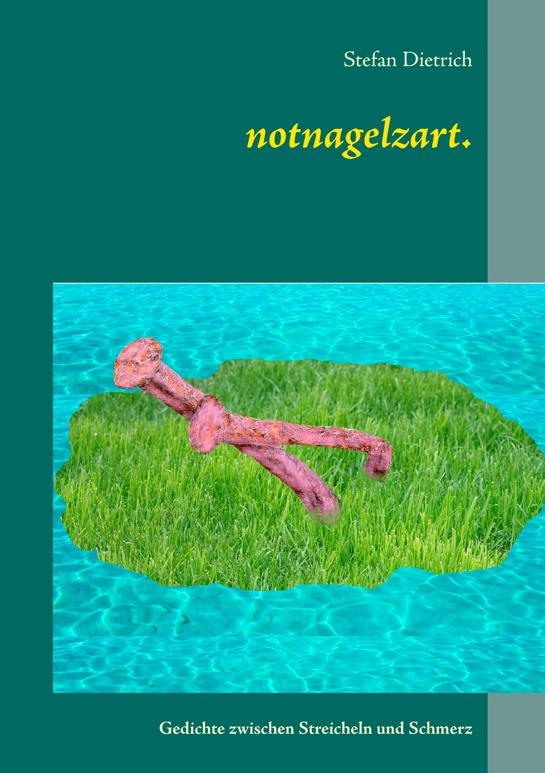 Vorderes Coverbild notnagelzart.