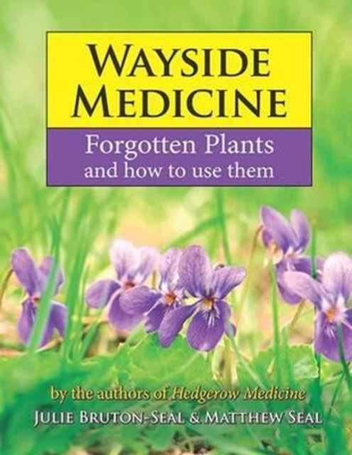 Vorderes Coverbild Wayside Medicine