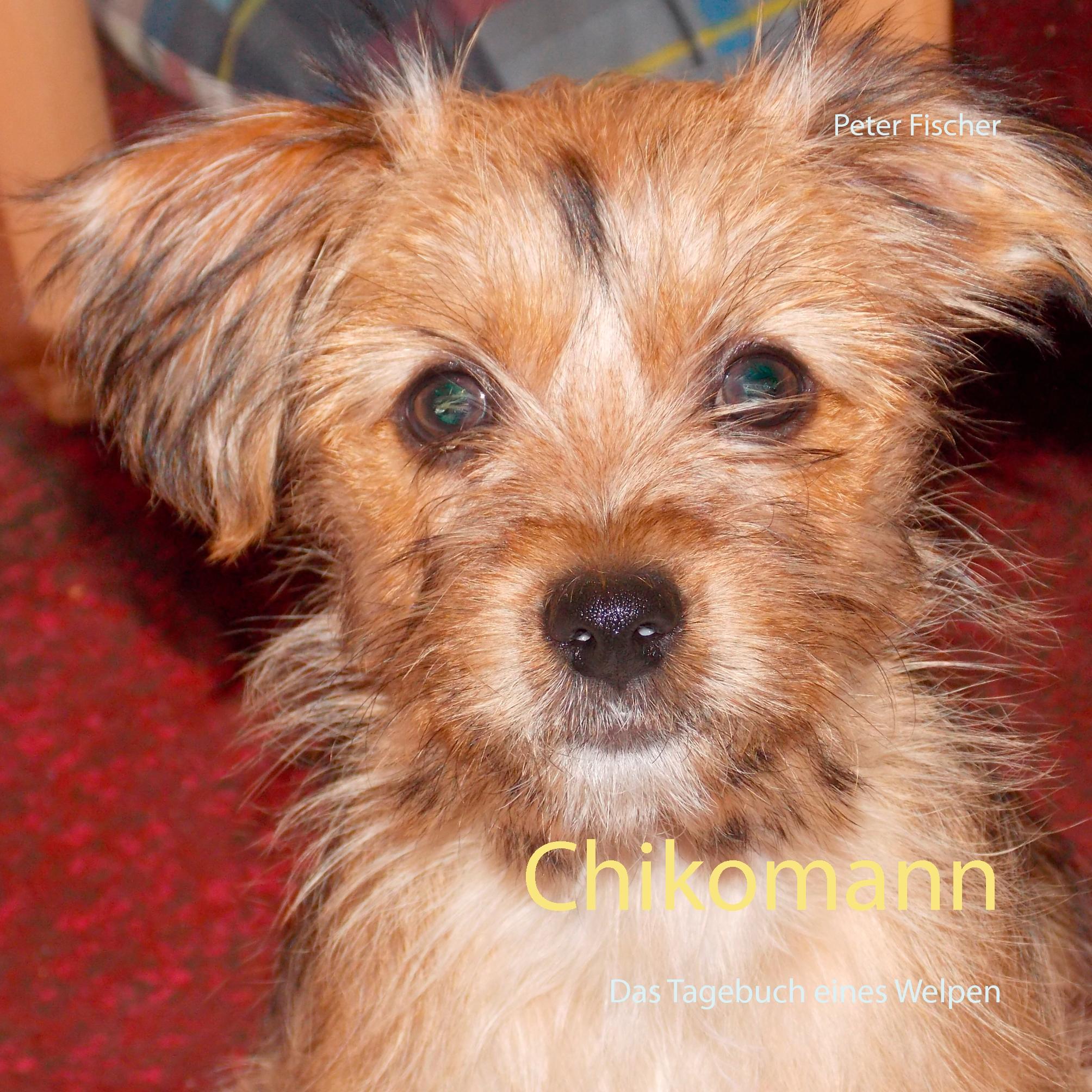Vorderes Coverbild Chikomann