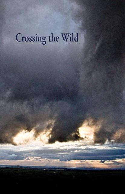 Vorderes Coverbild Crossing the Wild