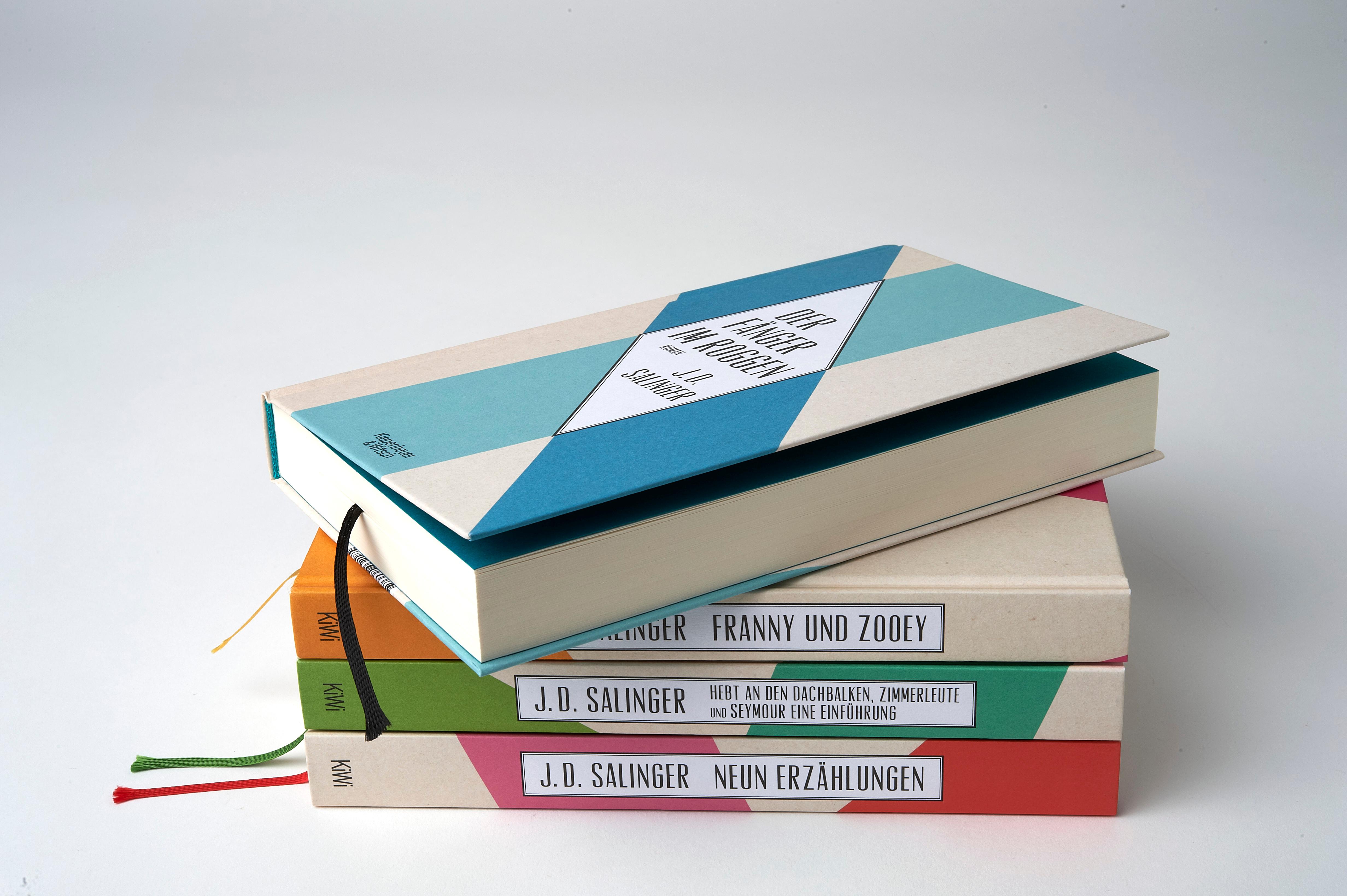 Beispielinhalt (Bild) Der Fänger im Roggen