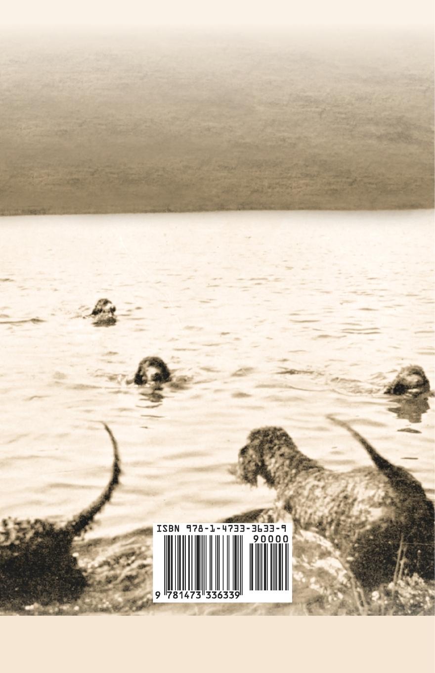 Rückseitencover Gun Dogs