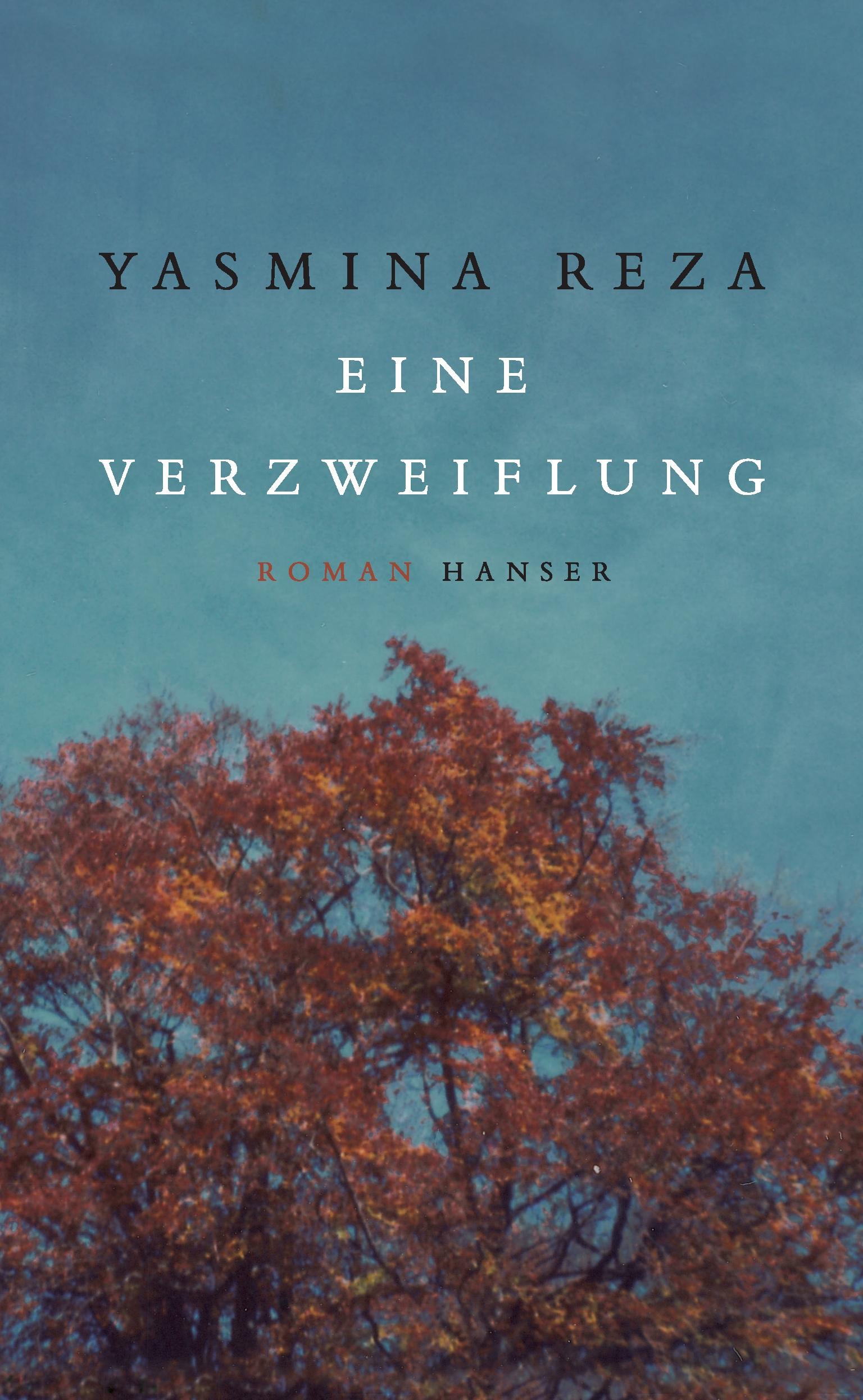 Vorderes Coverbild Eine Verzweiflung