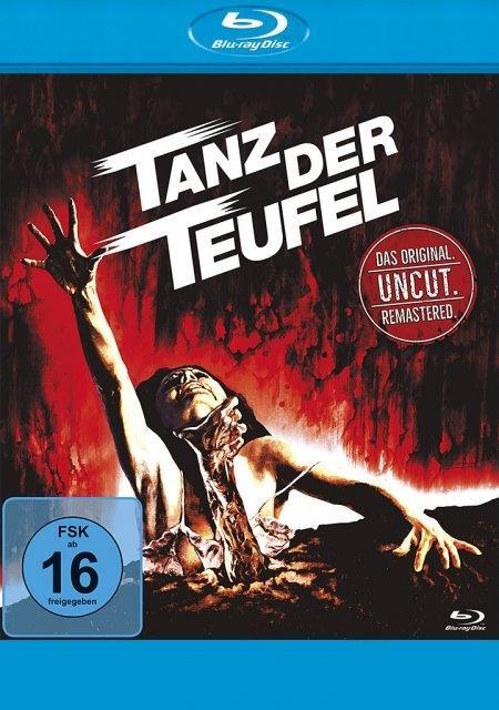 Vorderes Coverbild Tanz der Teufel