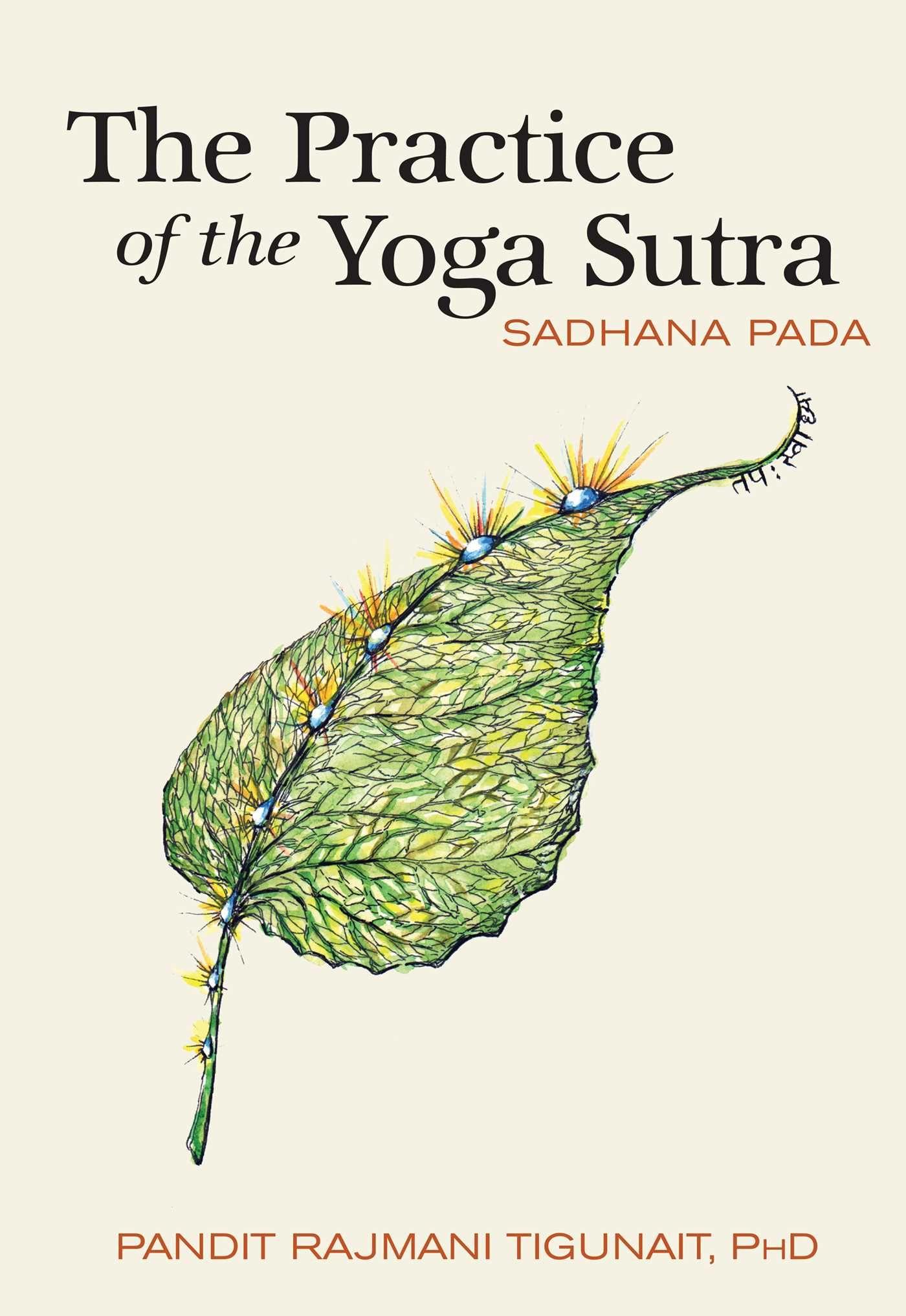 Vorderes Coverbild The Practice of the Yoga Sutra
