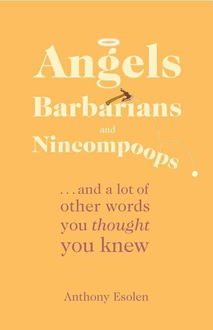 Vorderes Coverbild Angels, Barbarians, and Nincompoops