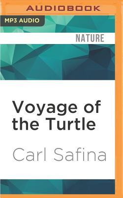 Vorderes Coverbild Voyage of the Turtle