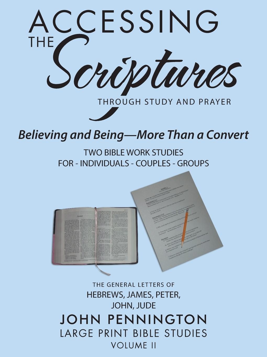 Vorderes Coverbild Accessing the Scriptures