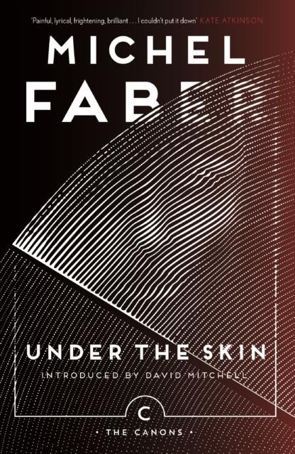 Vorderes Coverbild Under The Skin