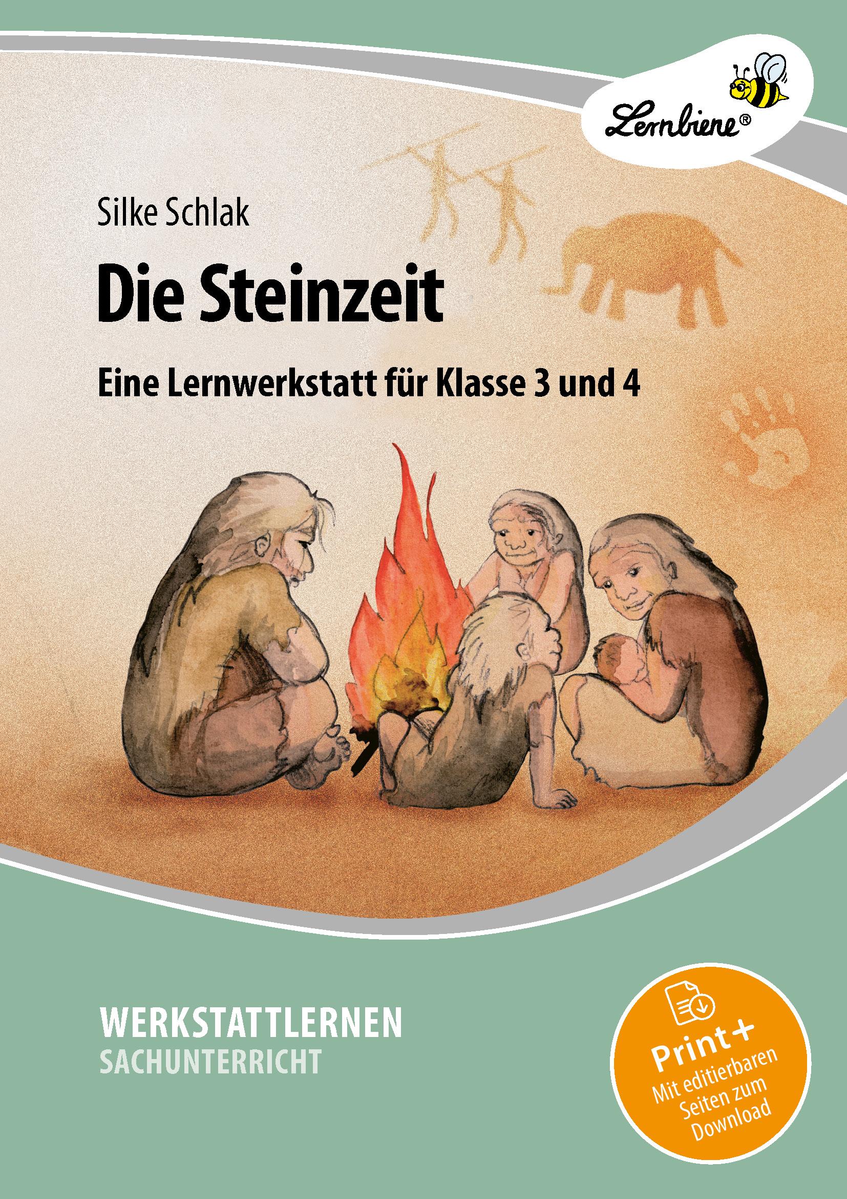 Vorderes Coverbild Die Steinzeit