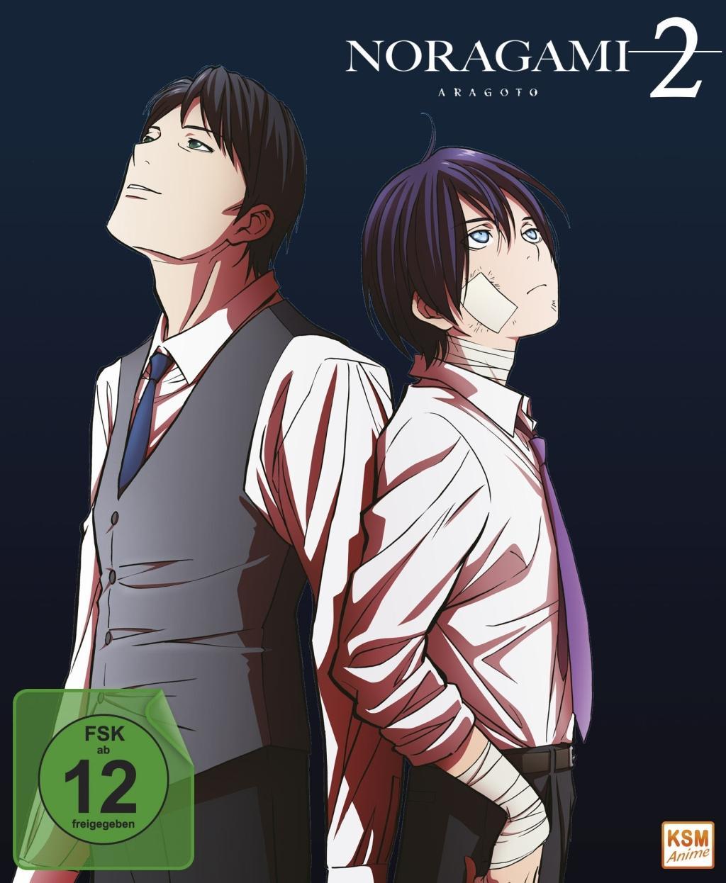 Vorderes Coverbild Noragami Aragoto