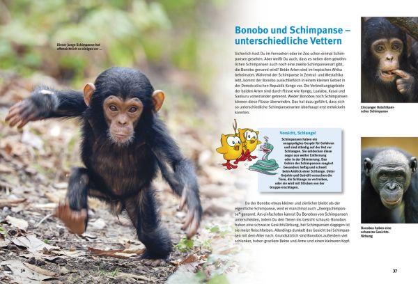 Beispielinhalt (Bild) Entdecke die Menschenaffen