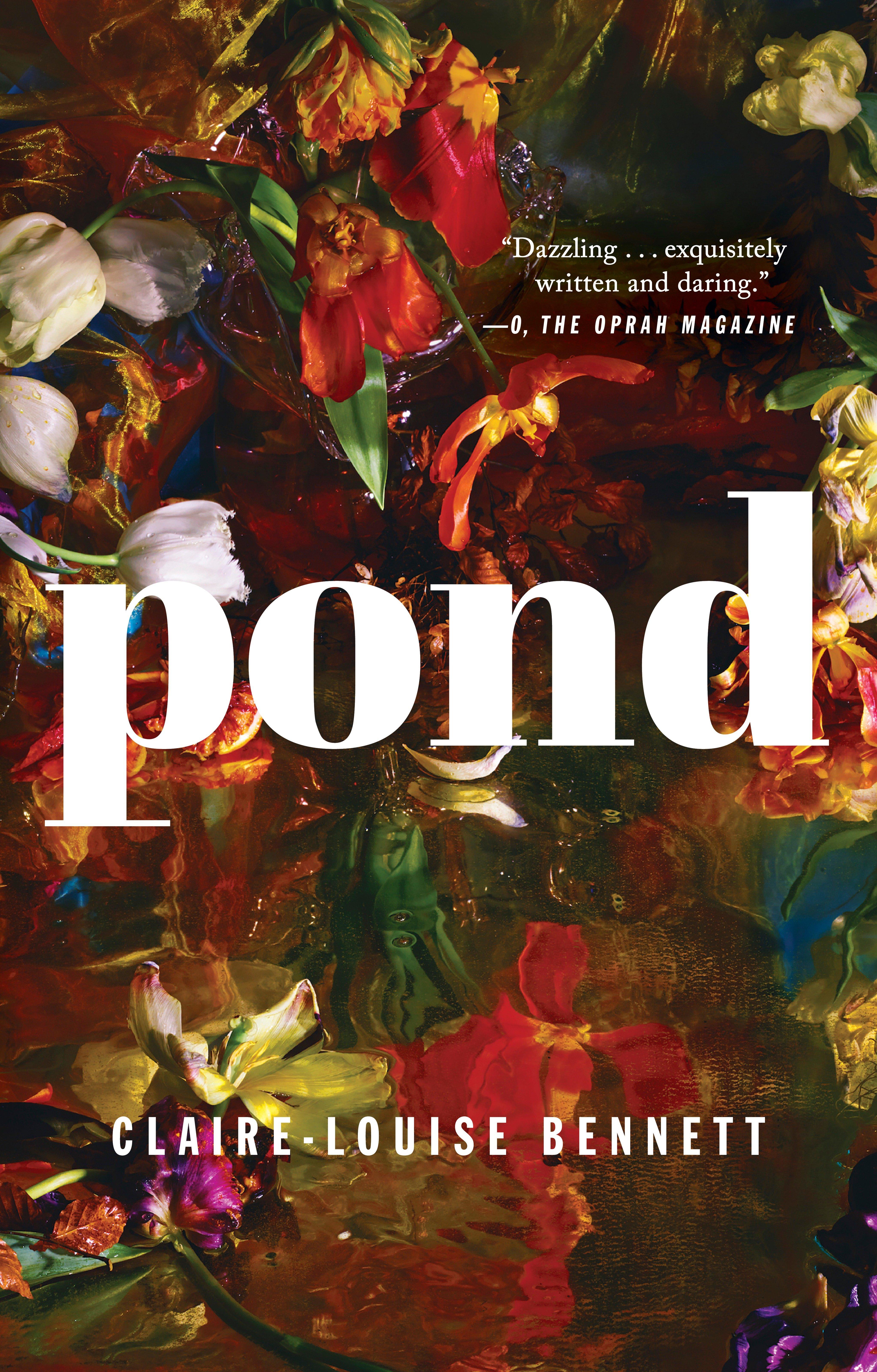 Vorderes Coverbild Pond
