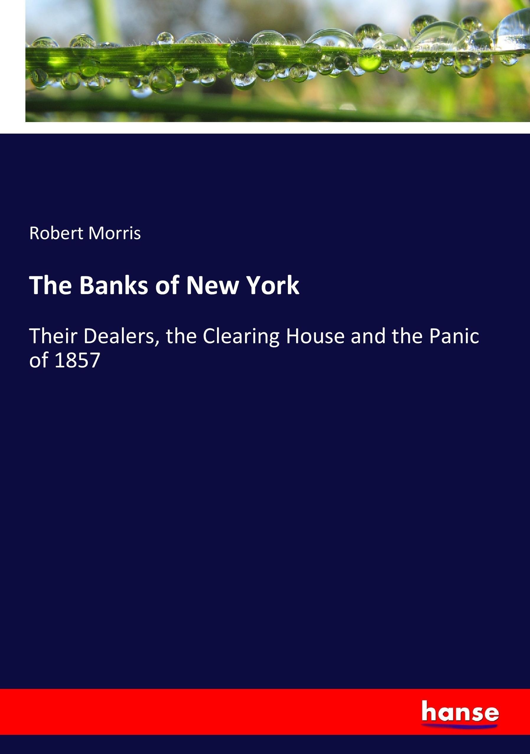 Vorderes Coverbild The Banks of New York