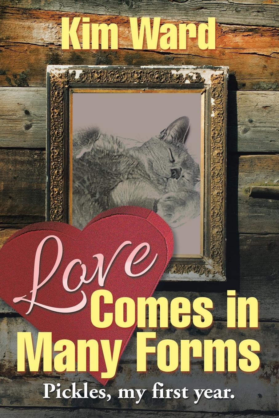 Vorderes Coverbild Love Comes in Many Forms