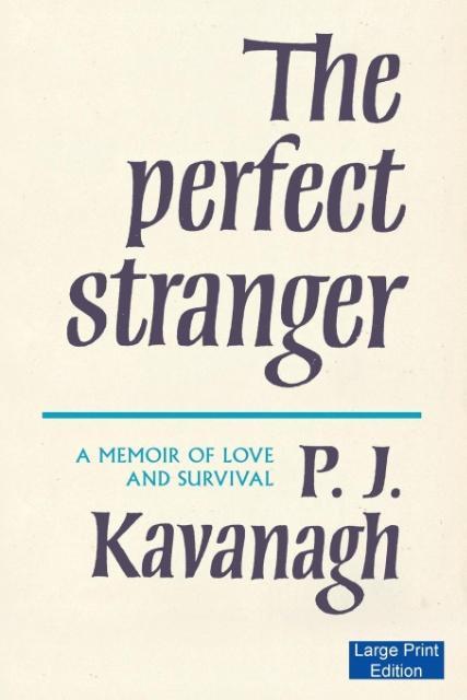 Vorderes Coverbild The Perfect Stranger (Large Print Edition)